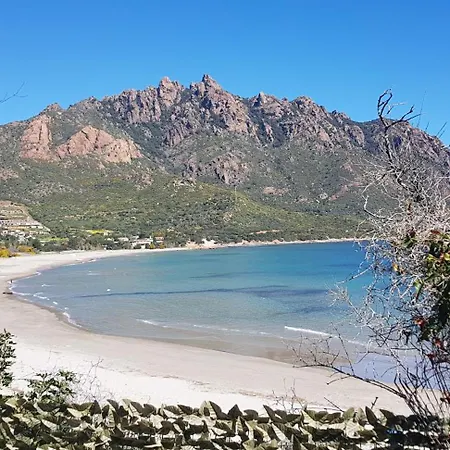 Sa Omu De S'olia *